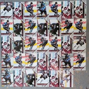 2005/06 Upperdeck Colorado Avalaches Hockey Trading Card Collection